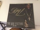 BIG L the big picture 2xLP RAWKUS children of the corn notorious BIG killa cam