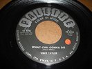LISTEN - POPCORN ROCK - VINCE TAYLOR - WHAT-CHA-GONNA DO - MOVE OVER TIGER