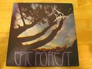 RARE BIRD- EPIC FOREST UK Gatefold LP with EP and ORIGNAL Poster-Amazing