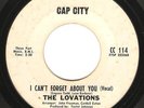 Northern Soul Funk 45 THE LOVATIONS 