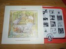 GENESIS Selling England by the pound Chrysalis CAS 1074 Mint copy from 1973