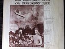 led zeppelin live on blueberry hill rare double vinyl