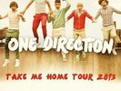 Concert ONE DIRECTION Paris Bercy 29 Avril - Catégorie 1 - ORCHESTRE Z - Rang 23