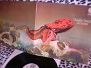 GENTLE GIANT -OCTOPUS -VERTIGO-ITALY -1972 - LP VINILE 33 GIRI 12