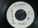 TEDDY AND HIS PATCHES - Suzy Creamcheese - RARE PROMO 45 Garage PSYCH