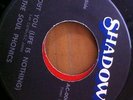 The Soul Phonics - Without you (life is nothing) - Shadow Rec - Soul / Funk 45