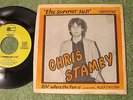 CHRIS STAMEY the summer sun US ORK RECORDS 7-inch single ORK 81982