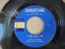 The Colognes A Bird And A Bee - A River Flows on Lummtone original doo wop rare