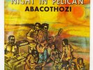 Abacothozi 