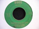 FOUR VOICES GREAT DETROIT NORTHERN SOUL 45 VOICE 1113 LISTEN