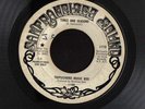 GARAGE PROG PSYCH 45 TRIPSICHORD MUSIC BOX TIMES AND SEASONS SAN FRANCISCO DJ