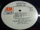 LOVE ARTHUR LEE VINDICATOR '72 A&M US ORIG WHITE LABEL PROMO CLEAN NEAR MINT