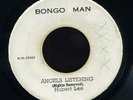 Hubert Lee Angels Listening / New Establishment - Shoud Have Been Me orig 7
