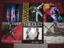 6 Vinyl Alben Mudhoney, Soundgarden, The Cult, Alice in Chains, Firehose