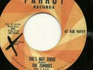 THE ZOMBIES 45RPM '65 PARROT SHE'S NOT THERE RARE PROMO COPY STRONG VG++ VINYL
