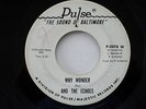 NORTHERN SOUL 45 Doc and the Echoes - Why Wonder   Pulse 2078 HEAR IT