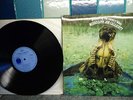 PRESENTING THE COUNTRY BLUES MISSISSIPPI JOE CALLICOTT LP BLUE HORIZON