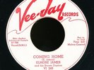 pc45-Blues-Vee-Jay 249-Elmore James