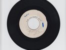 BLANK/RUDY A MESSAGE TO YOU  -  DANDY    (SKINHEAD  REGGAE 7