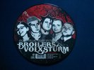 BROILERS / VOLXSTURM Split 10 Inch