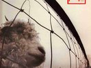 Pearl Jam Vs Original 1993 LP
