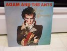 ADAM AND THE ANTS LP SEALED PRINCE CHARMING NEW WAVE BOW WOW WOW SLITS FIXX 1981