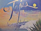 ++ZZ TOP tejas LP 1976 WARNER it's only love/ten dollar man RARE VG++
