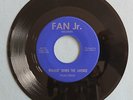 Rare Wisconsin Soul Doo Wop Garage 45 Vilas Craig Walkin’ Down The Avenue Fan Jr