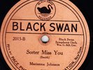 Blues on  BLACK SWAN 2015  Marianne Johnson