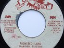Promised Land - NAROBH SISTERS (JUDY MOWATT)  - GAY FEET - ORIGINAL - 1975 ??? [
