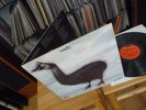 WEB I SPIDER 1970 IN MINT UK 1ST POLYDOR MONSTER 