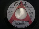THE CHEERS I Made Up My Mind / Take Me To Paradise, OKEH 4-7331 PROMO 45