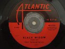 TARANTULAS 