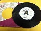 THE PRIMITIVES you said UK ADVANCE PROMO PYE RARE ORIG freakbeat garage psych