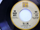 THE BEACH BOYS - RARE STOCK COPY - 'TIL I DIE / LONG PROMISED ROAD