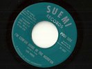 LOU PRIDE (SUEMI) I'M COM'UN HOME ORIGINAL PRESS 45 RARE TEXAS SOUL 45 VG++ hear