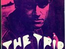Garage legend: KIM FOWLEY: THE TRIP b/w BEAUTIFUL PEOPLE 7