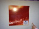 The Cure Kiss Me Kiss Me Record Store day red vinyl LP sealed RSD number 358
