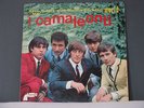 I CAMALEONTI - THE BEST RECORDS IN THE WORLD By..INTROVABILE 1° LP DEL GRUPPO