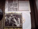 ORIGINAL YOUTH OF TODAY BREAK DOWN THE WALLS LP WISHINGWELL REC 1986 KBD SXE HXC