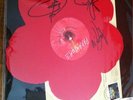 The Holiday Sessions Wish You Were Here Signed By Paramore Record Store Day