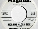 hear: MANZANITA JUNGLE on Magnum M- folkrock sunshine pop psych