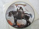 Molly Hatchet - 1st LP - PICTURE DISC - PROMO ONLY