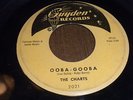 THE CHARTS Ooba-Gooba KILLER TITTYSHAKER INSTRUMENTAL 45 Guyden 2021 HEAR Birds