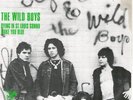 Stephan & The Wild Boys -The Wild Boys -US Proto Punk/GLAM -1976 -HEAR