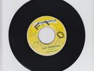 STAR APPLE/SOUL CONSTITUTION  - DIZZY MOORE &  FAMILY MAN BARRETT ( INST. 7