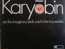 SPONTANEOUS MUSIC ENSEMBLE Karyobin BAILEY/PARKER/STEVENS/WHEELER Pink Island