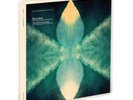 Bonobo - The North Borders 7 x 10