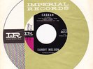 Sandy Nelson-Casbah/Drums A Go Go-Rare Original Surf Instrumental 45-VSVG+ HEAR