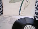 STRAWBS-DRAGONFLY -A&M AMLS 970 -ENGLAND- -DISCHI VINILE 33 GIRI 12